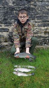 Rainbow Trout