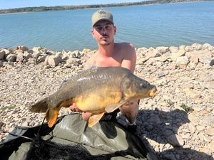 Mirror Carp