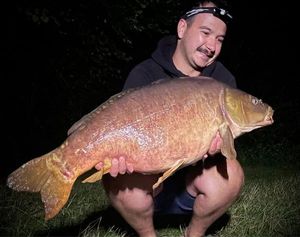 Mirror Carp