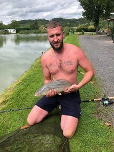 Common Carp