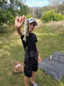Largemouth Bass