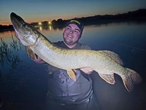 Northern Pike