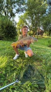 Mirror Carp