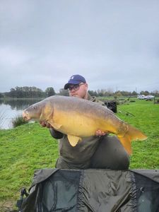 Mirror Carp