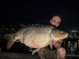 Mirror Carp