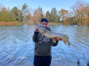 Northern Pike