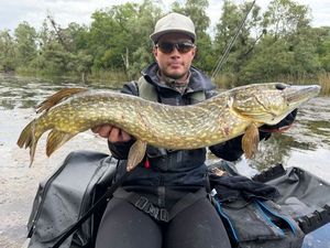 Northern Pike