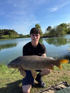 Common Carp