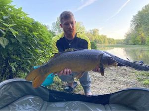 Mirror Carp