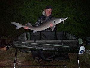 Sturgeon
