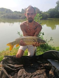 Common Carp