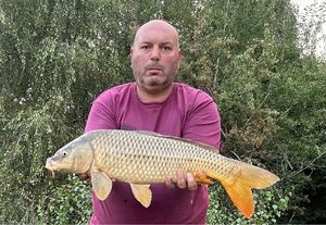 Common Carp