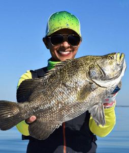 Atlantic Spadefish
