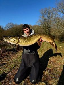 Northern Pike