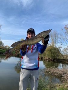 Northern Pike