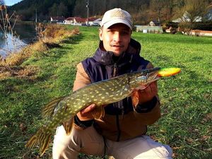 Northern Pike