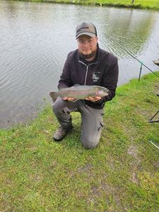Rainbow Trout