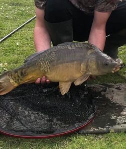 Leather Carp