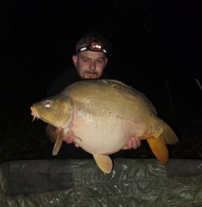 Mirror Carp