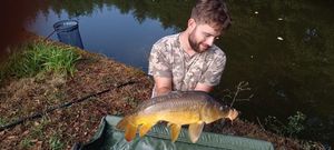 Mirror Carp