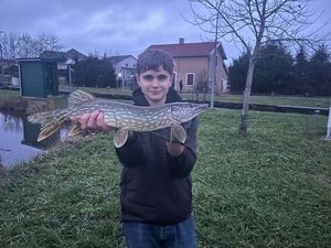 Northern Pike