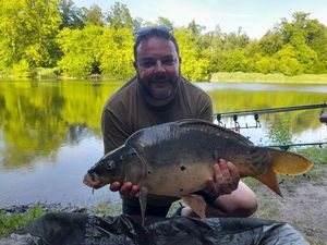 Mirror Carp