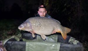 Common Carp
