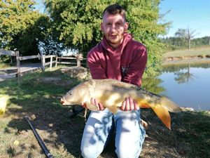 Mirror Carp