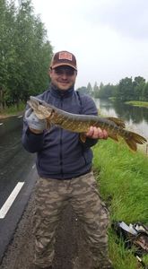 Northern Pike