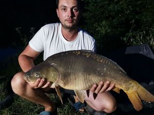 Mirror Carp