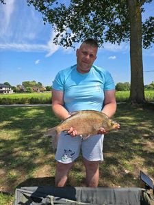 Common Bream