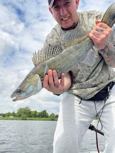 Zander