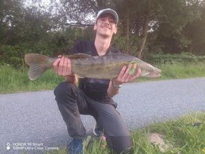 Zander