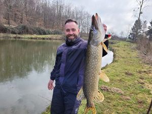 Northern Pike