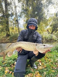 Northern Pike