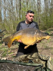Leather Carp