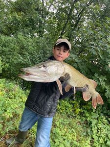 Northern Pike