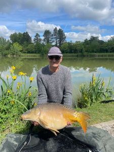 Mirror Carp