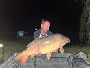 Mirror Carp