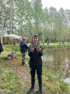 Rainbow Trout