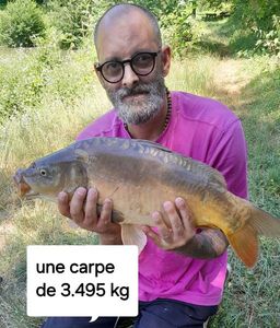 Mirror Carp