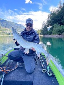 Northern Pike