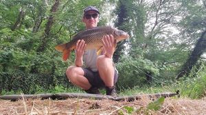 Common Carp