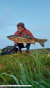 Grass Carp