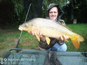 Common Carp