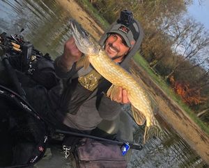 Northern Pike
