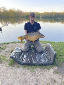 Mirror Carp