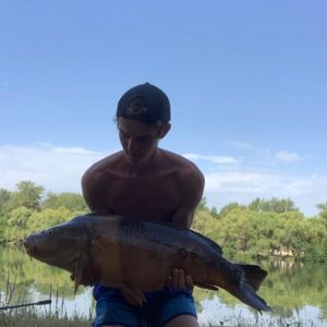 Mirror Carp