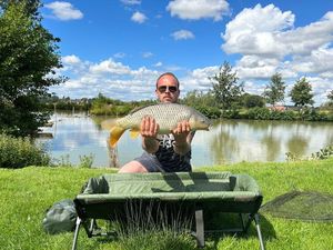 Common Carp