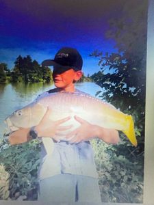 Mirror Carp
